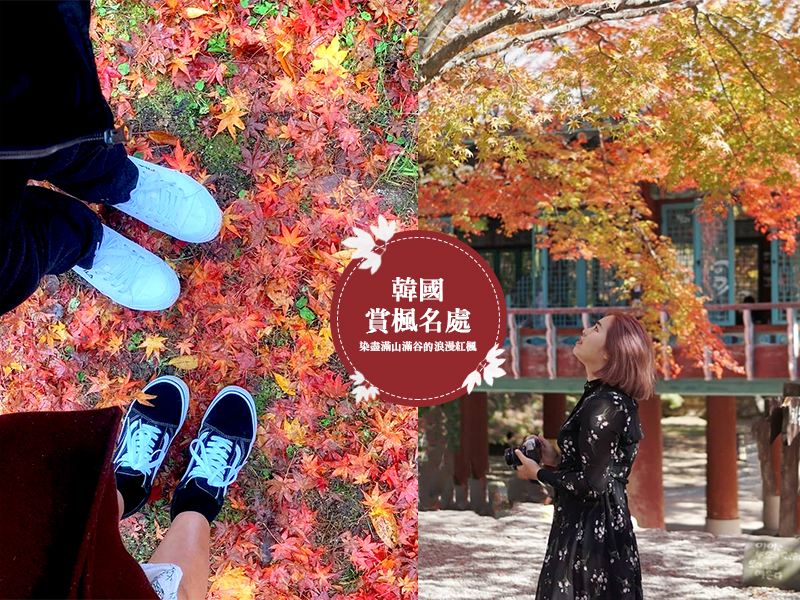 秋天去韓國必賞，染盡滿山滿谷的浪漫紅楓
