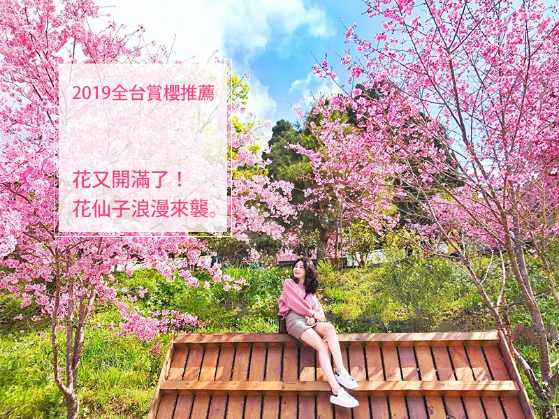 花又開滿了！2019全台賞櫻推薦，花仙子浪漫來襲。