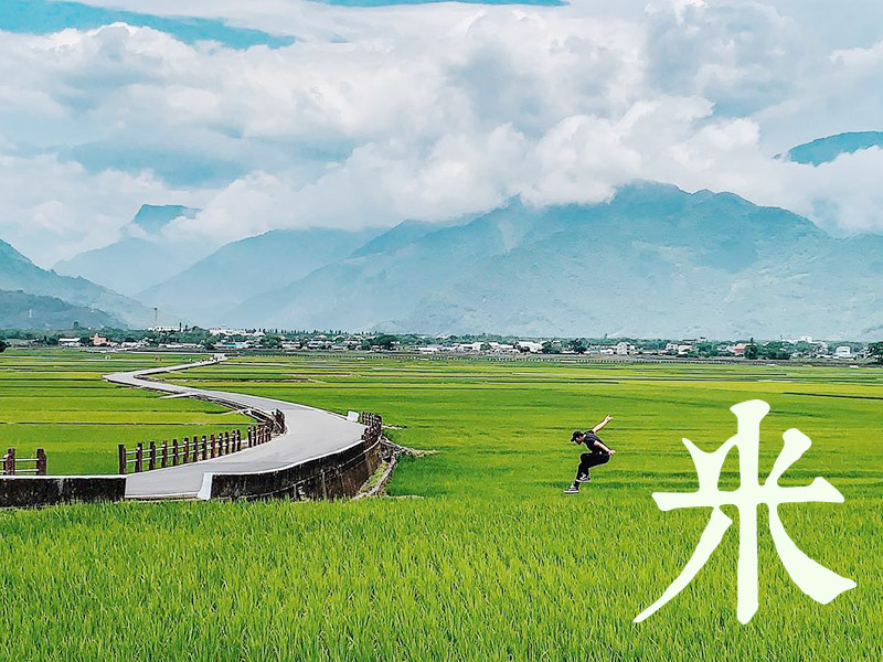 來「稻」台東池上，乘著稻浪，聞著稻香，體驗「米」足珍貴的農莊生活。