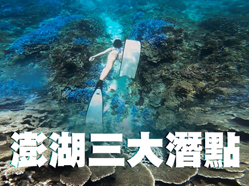 澎湖本島、離島三大潛點！來看海龜、薰衣草森林、海底郵筒吧！潛水初學者、浮潛愛好者也可以！