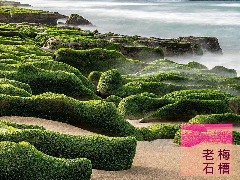 整個海岸線都綠了！一場「老梅綠石槽」與大海共譜出的音樂篇章，大自然的演奏會即刻開演。